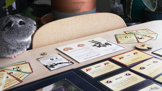 Everything to Expect When Running Your First Playtest